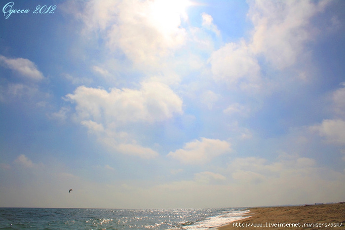 643384_IMG_2059_750 (700x466, 162Kb)