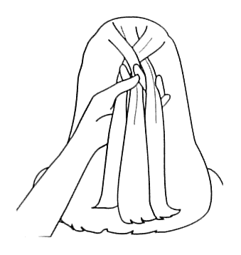 frenchbraid2 (339x358, 6Kb)