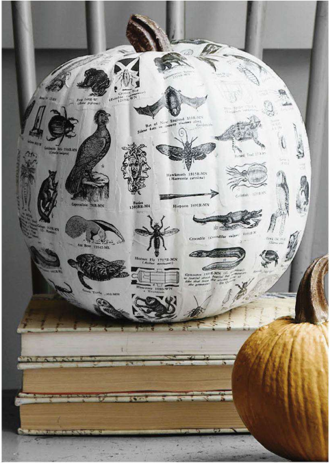 90629304_textbookdecoupagepumpkin (482x676, 455Kb)