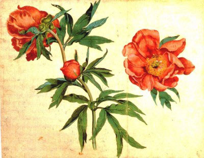 Ботанические копии цветов для интерьера