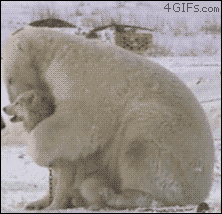 Polar-bear-hugs-dog (222x214, 1022Kb)