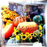5 (150x150, 62Kb)