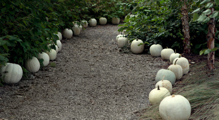 white-pumpkin-lined-path (700x384, 565Kb)