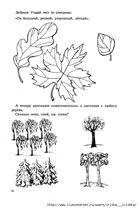 Задача листьев. Деревья задания для дошкольников. Задания по теме деревья для дошкольников. Развивающие задания на тему деревья. Деревья и кустарники задания для дошкольников.