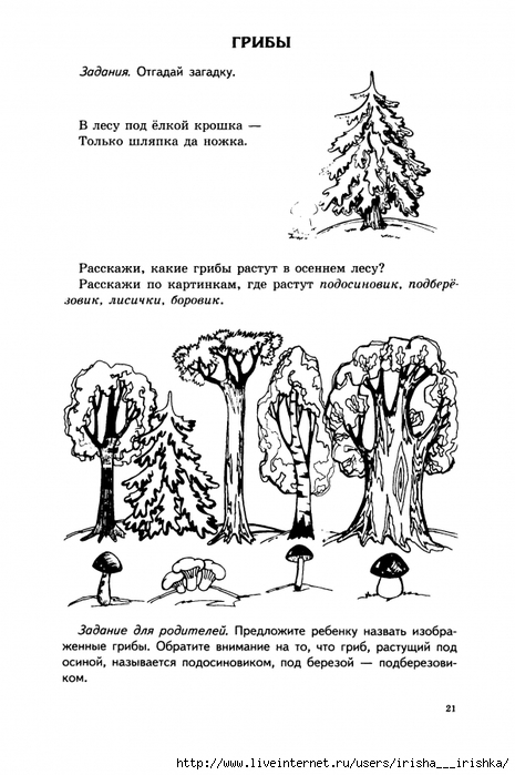 Картинки По Лексической Теме Деревья