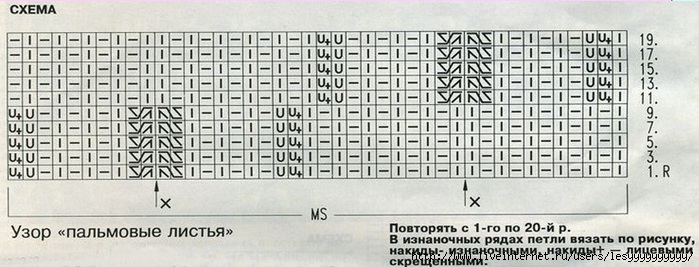 uzor-palmovii-listija1 (700x267, 159Kb)