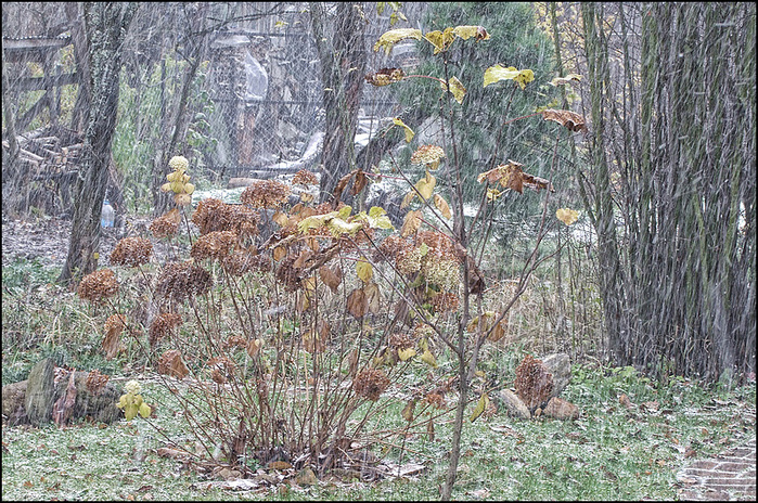   /3673959_1 (700x464, 284Kb)