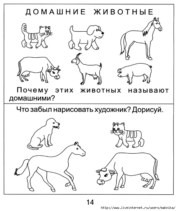 Проект мои домашние животные 1 класс окружающий мир про кошку