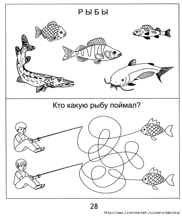 Лексическая тема рыбы старшая группа