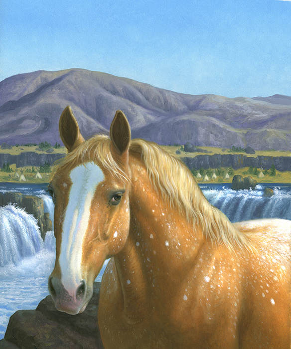 AH012_Appaloosa Horse (584x700, 195Kb)