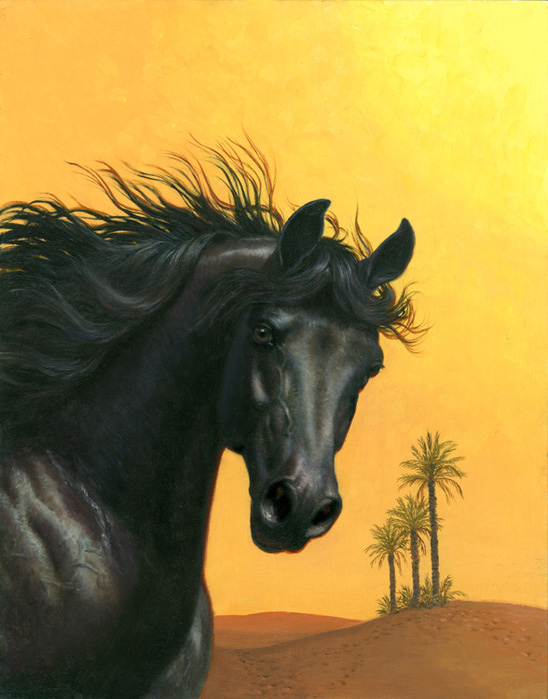 AH020_Arabian Horse (548x700, 138Kb)