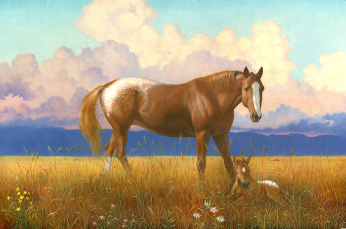 AH039_Appaloosa Horses On the Plain (700x464, 150Kb)