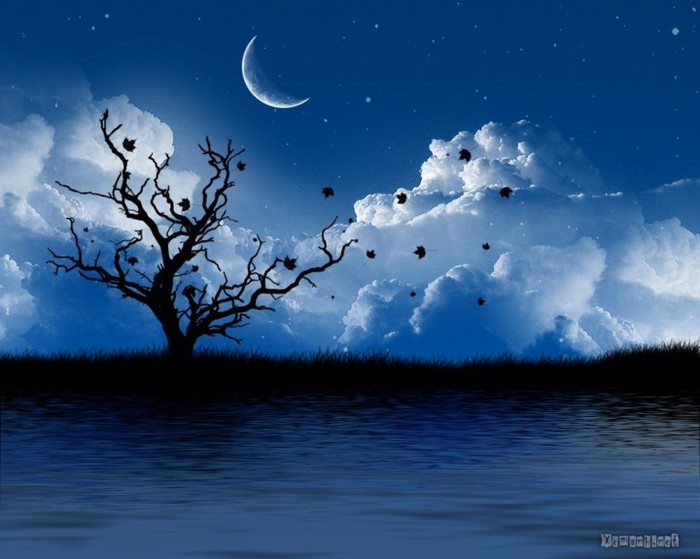 changing-season-night-sky-wallpaper-720x575 (650x559, 70Kb)