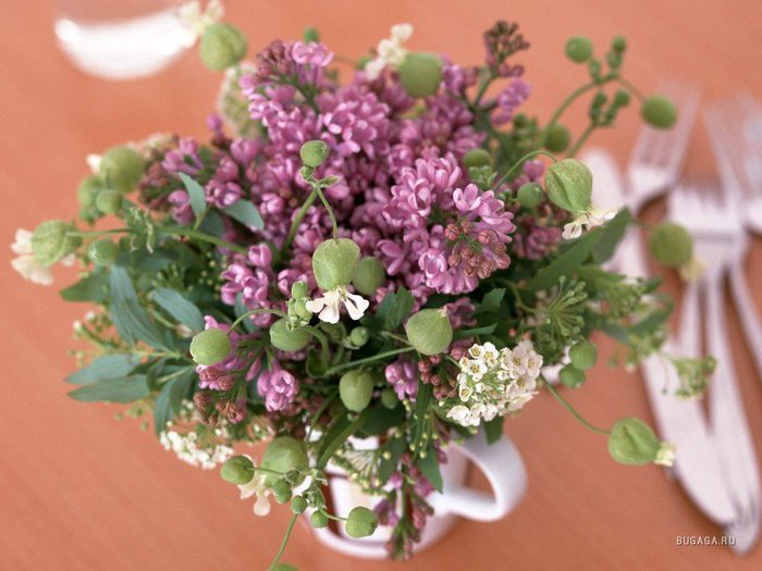 4397599_1211982974_flowers_421_packed_1_ (700x525, 69Kb)