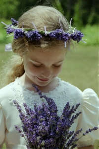 1182006214146_fresh lavender wedding (200x300, 11Kb)