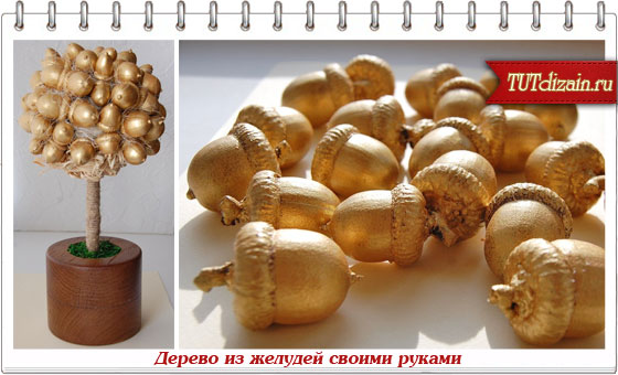    (560x340, 54Kb)
