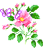 butt_on_flower (65x71, 13Kb)
