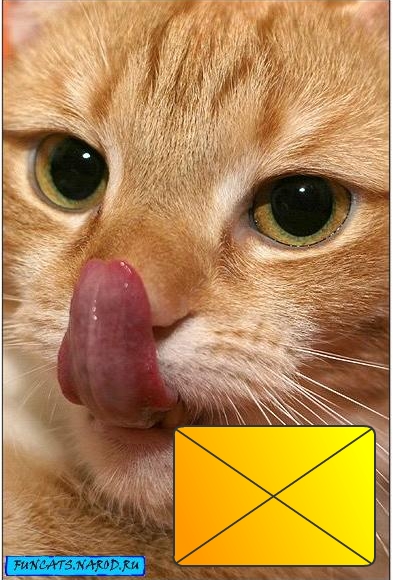 email (393x580, 194Kb)