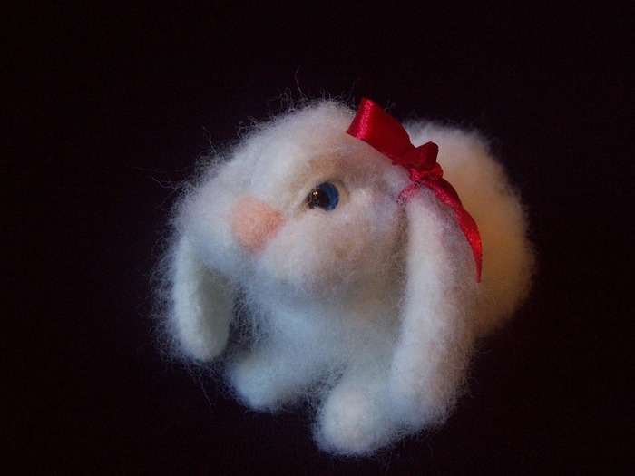 100_6240 (700x525, 65Kb)