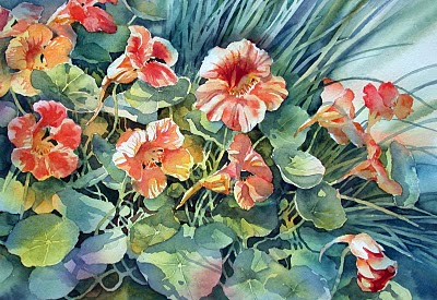 Ann Mortimer  nasturtiums and chives crop (400x275, 56Kb)