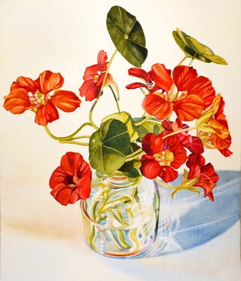 Kathrine Lemke Waste - nasturtiums (343x400, 64Kb)