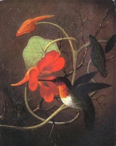 Martin Johnson Heade (400x505, 36Kb)