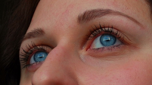 DSC_7344 (500x280, 56Kb)