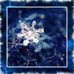 1 (150x150, 68Kb)
