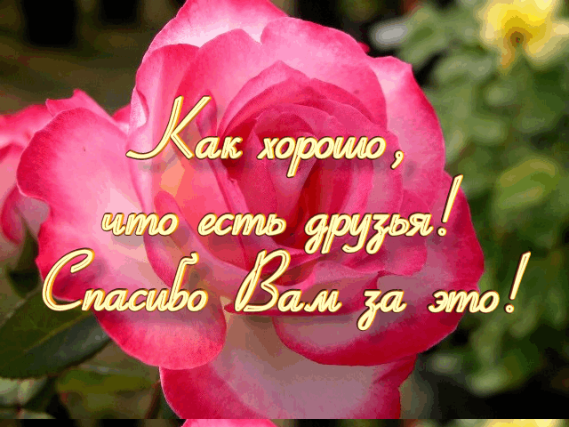 69151189_48078056_44052556_druzya (640x480, 782Kb)