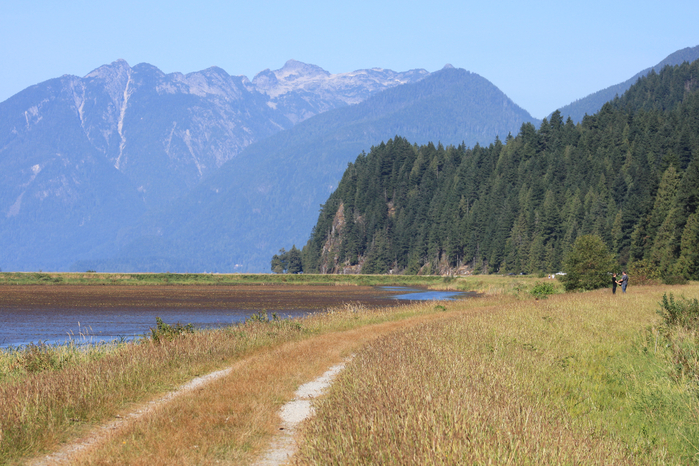 349 (700x466, 474Kb)