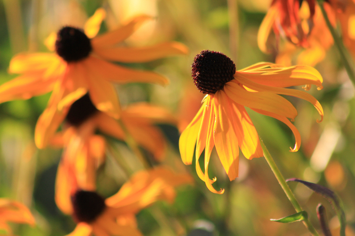 212 (700x466, 356Kb)