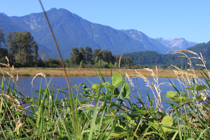 269 (700x466, 527Kb)