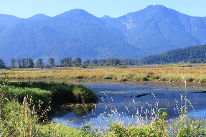 309 (700x466, 534Kb)