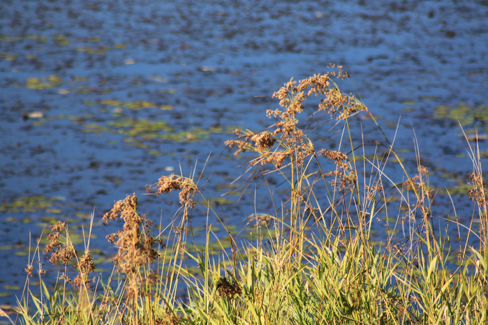 323 (700x466, 541Kb)