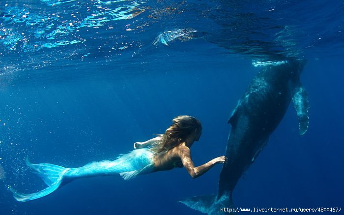  /4800467_1352815183_mermaid_6 (700x437, 139Kb)