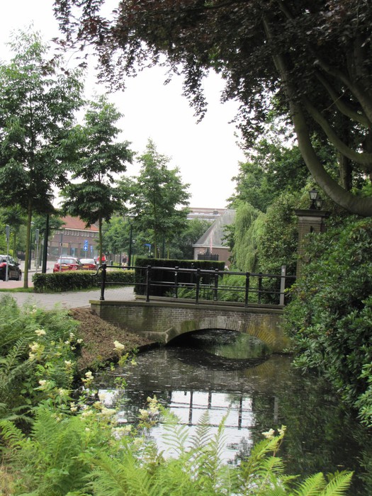 IMG_1795 (525x700, 154Kb)