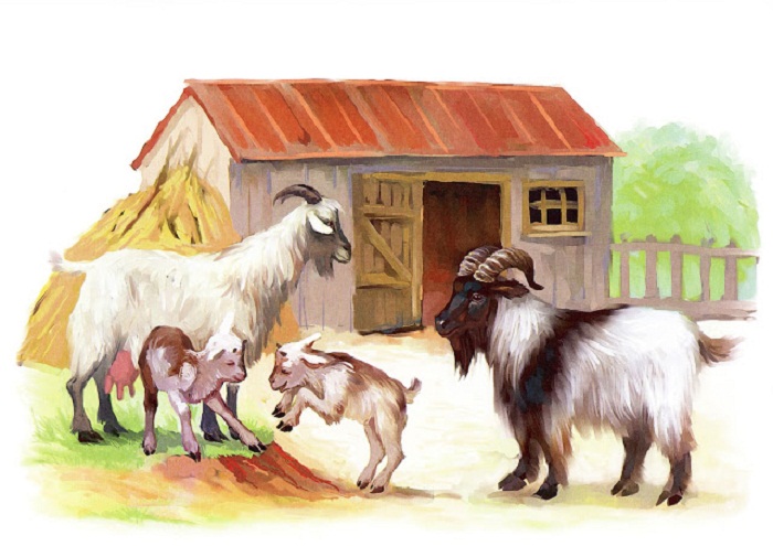 Картинка скотный двор домашние животные