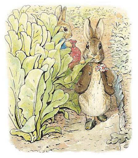 the_tale_of_benjamin_bunny_16 (448x513, 90Kb)