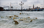  venice (1) (400x256, 37Kb)