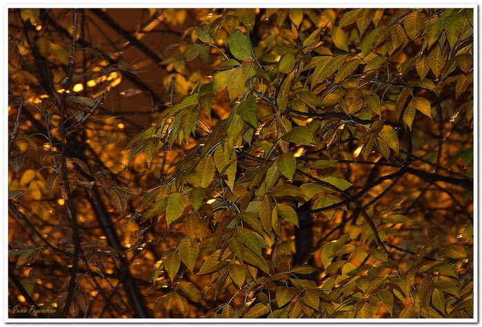 cbe6755ac20a (700x474, 111Kb)