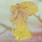 atf2 (150x150, 37Kb)