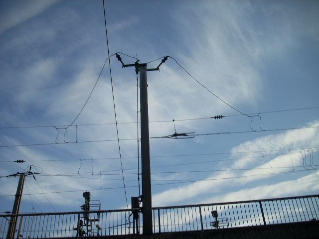 DSCN1943 (640x480, 119Kb)
