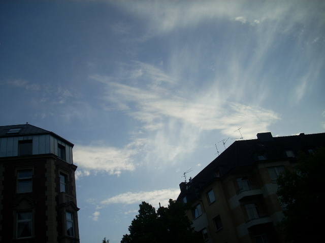 DSCN1945 (640x480, 113Kb)