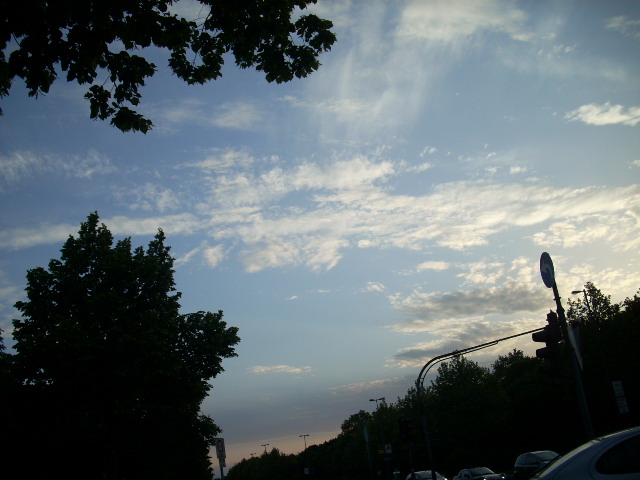 DSCN1958 (640x480, 113Kb)