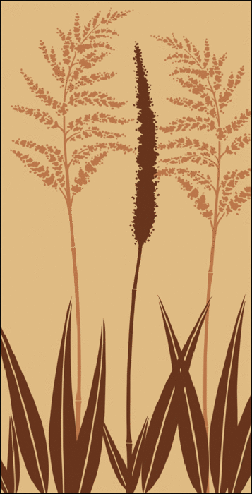 ornamentalgrass (357x700, 70Kb)