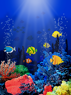 Reef (240x320, 130Kb)