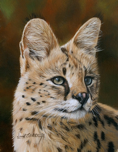 5019858_serval86_1_ (453x585, 205Kb)