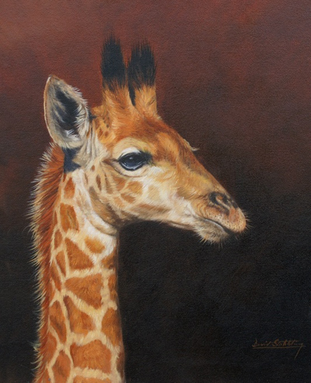 5019858_giraffe1012 (453x557, 164Kb)