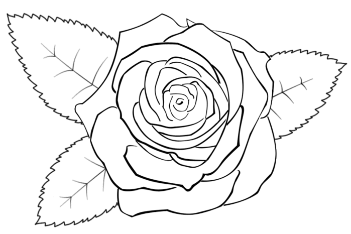 rosewithleaves (700x466, 45Kb)