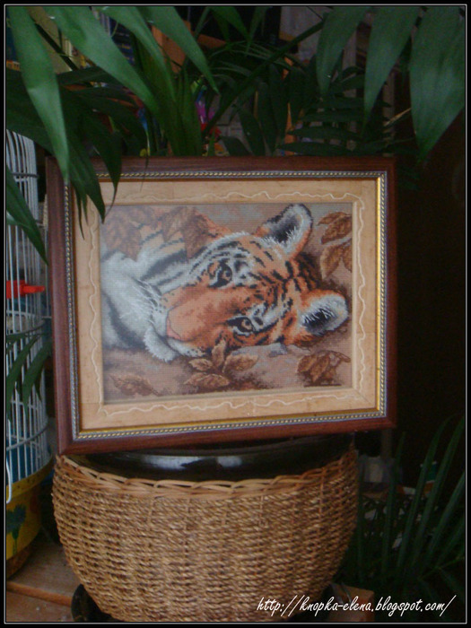 tigra_fin (525x700, 140Kb)